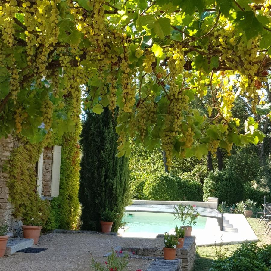 Le Mas Vigneron Gordes Exterior foto